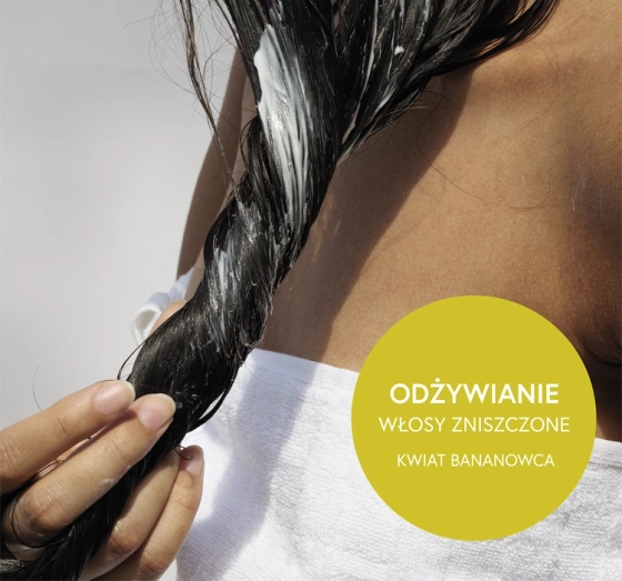 Kliknij na zdjęcie, aby je powiększyć Ziaja Ernährung Bananenblüte Haarmaske für strapazierte Haare 350ml