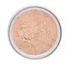 Inglot Perfect Finish loser Puder 04 23g