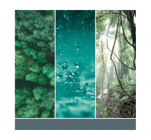 Yankee Candle Signature Tumbler Große Duftkerze Bayside Cedar 567 g