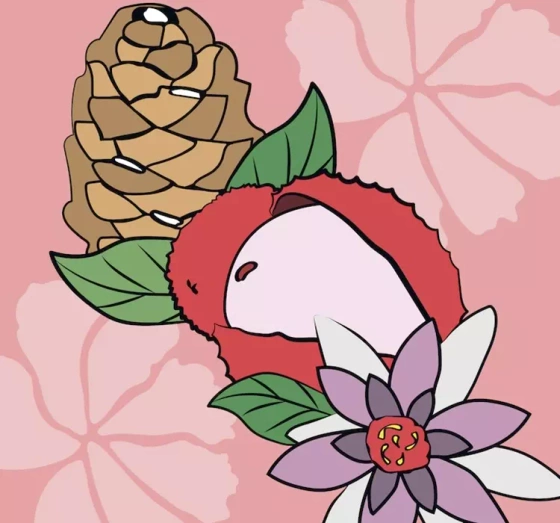 Mexx Black Woman Eau de Toilette Spray 15 ml