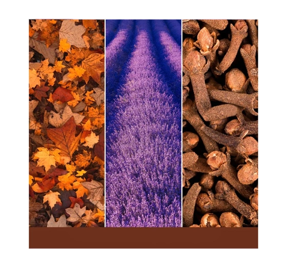 Kliknij na zdjęcie, aby je powiększyć Yankee Candle Duftwachs Autumn Daydream 22 g