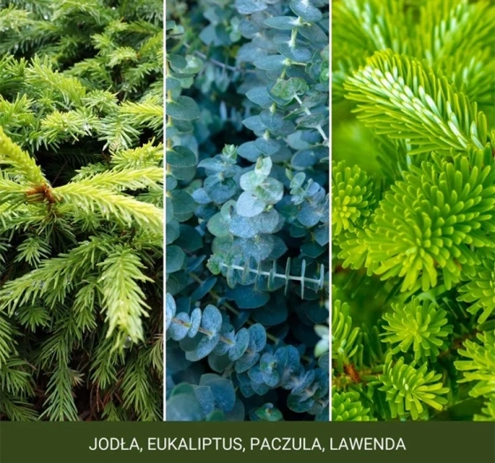 Kliknij na zdjęcie, aby je powiększyć Yankee Candle Signature Tumbler Große Duftkerze Shimmering Christmas Tree 567 g