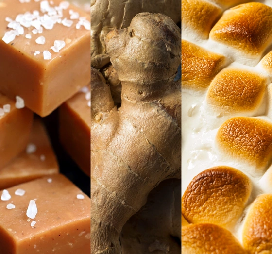 Kliknij na zdjęcie, aby je powiększyć Yankee Candle Signature Große Duftkerze Golden Pumpkin 567 g