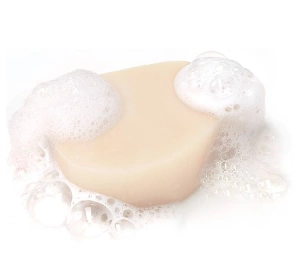 GARNIER RESPONS SOLID FESTES SHAMPOO COCO & ORGANIC ALOE VERA 60G