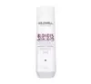 GOLDWELL DUALSENSES BLONDES & HIGHLIGHTS SHAMPOO FÜR BLONDE HAARE 250ML