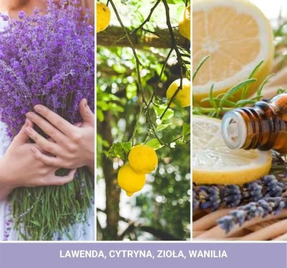 Yankee Candle Signature Mini Duftkerze Lemon Lavender 37 g