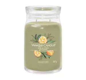 YANKEE CANDLE SIGNATURE DUFTKERZE SAGE & CITRUS 567G