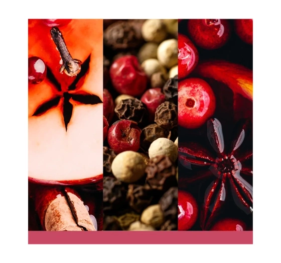 Kliknij na zdjęcie, aby je powiększyć Yankee Candle Signature Apres Ski Große Duftkerze Santa on Skis 567 g