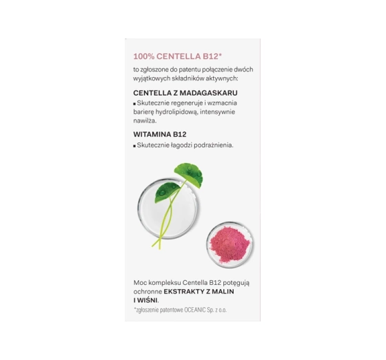 AA LAAB 100% Centella B12 feuchtigkeitsspendende Lippenmaske 15g