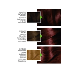 GARNIER COLOR NATURALS PERMANENTE HAARFARBE 4.62 SÜSSE KIRSCHE