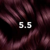 Phyto Hair Color Haarfarbe 5.5 Hellmahagoni-Braun