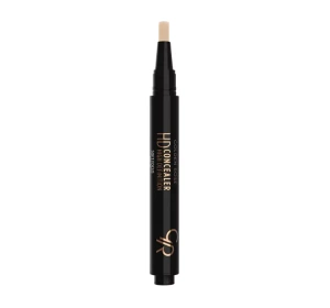 GOLDEN ROSE HD CONCEALER MIT PINSEL 03