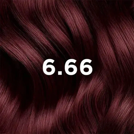 Phyto Hair Color Haarfarbe 6.66 – intensives Kirschrot-Braun