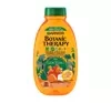 GARNIER BOTANIC KIDS THERAPY APRICOT 2IN1 SHAMPOO MIT CONDITIONER FÜR KINDER LION KING 250ML