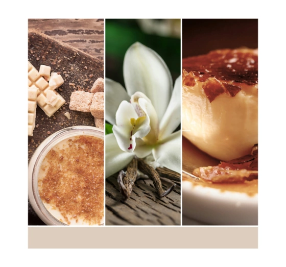 Kliknij na zdjęcie, aby je powiększyć Yankee Candle Signature Tumbler Duftkerze Vanilla Crème Brulee 567 g