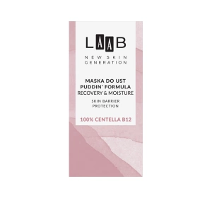 AA LAAB 100% Centella B12 feuchtigkeitsspendende Lippenmaske 15g