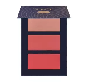 PIERRE RENE ART CONTOURING PALETTE 01 12G