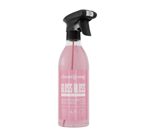 CLEANGANG GLOSS BLOSS GLASREINIGER BLOSSOM SKY 500ML