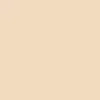 DAX CASHMERE CASMERE MAKE UP MAXI COVER 02 NUDE 30ML
