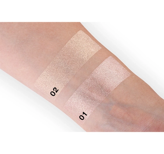 Kliknij na zdjęcie, aby je powiększyć PIERRE RENE ROYAL DUST LOSER HIGHLIGHTER 02 3,5G