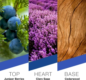 Prêt à Porter New York Eau de Parfum Spray 100 ml + Duschgel 50 ml + Körperbalsam 50 ml