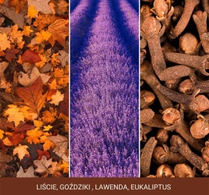 Yankee Candle Signature Große Duftkerze Autumn Daydream 567 g