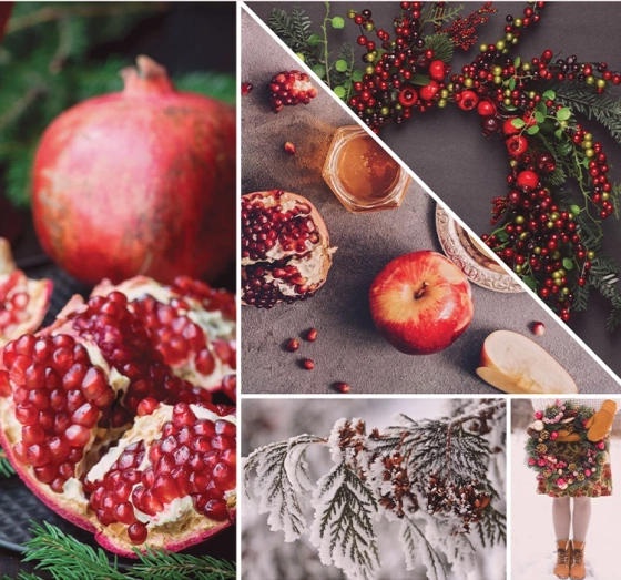 Kliknij na zdjęcie, aby je powiększyć Yankee Candle Signature Große Duftkerze Sparkling Winterberry 567g