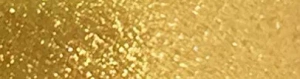 AFFECT CHARMY PIGMENT ZODIAC SIGNS N-0155 WIDDER 1G