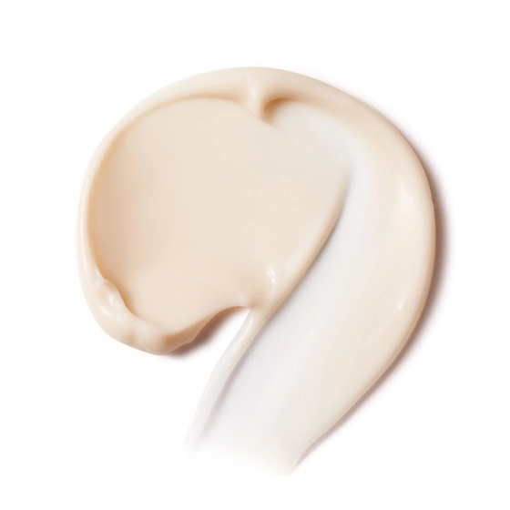 Kliknij na zdjęcie, aby je powiększyć Fraijour Alchemic Ginsenoside Intense Firming Cream – intensiv straffende Anti-Falten-Creme mit Ginseng, 50 ml