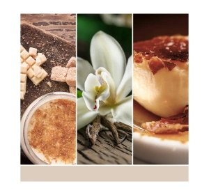 Yankee Candle Duftwachs Vanilla Crème Brulee 22 g