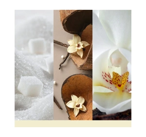 Yankee Candle Signature Apres Ski Große Duftkerze Vanilla Flurries 567 g