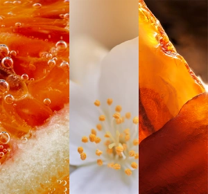 Yankee Candle Signature Mini Duftkerze Glistening Leaves 37 g