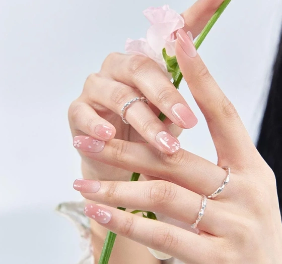 OHORA HYBRIDLACK IM AUFKLEBER BLOSSOM