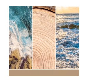 Yankee Candle Duftwachs Amber & Sandalwood 22 g