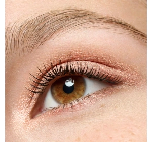 Essence Creme-Lidschatten im Tiegel 01 Rose 5 g