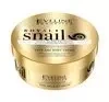 EVELINE ROYAL SNAIL KONZENTRIERTE CREME FÜR GESICHT UND KÖRPER 200 ML