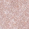 Wibo Diamond Illuminator – Highlighter für das Gesicht 01 Lowkey Obsessed 3 g