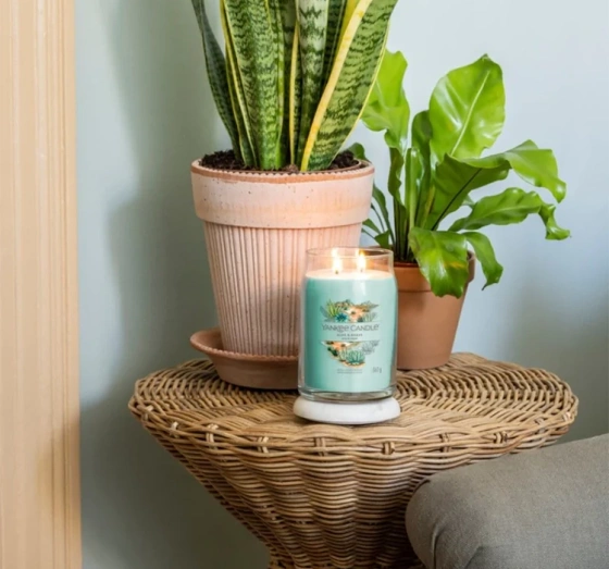 Yankee Candle Signature Große Duftkerze Aloe & Agave 567 g